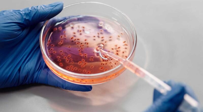 Disease detective tracks an invisible virus