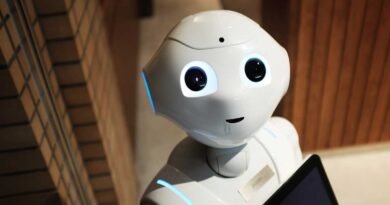 Why restaurant chains are investing in robots over workers?