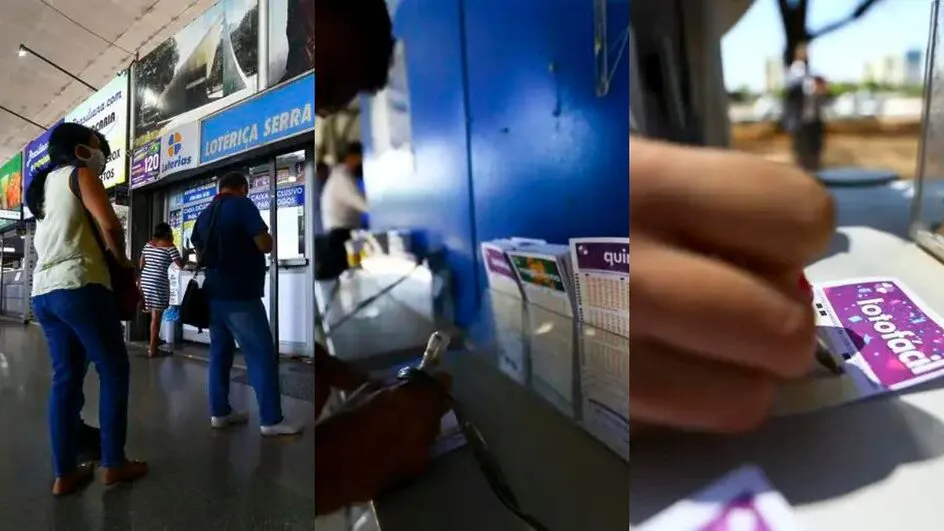 Lotofácil da Independência: Dicas e Números Mais Sorteados para Aumentar suas Chances em 2024 1 Lotofácil da Independência