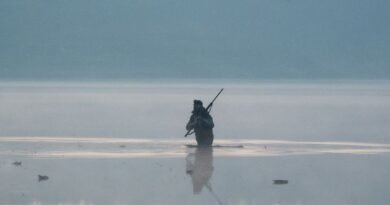 Como escolher a melhor vara para pesca esportiva