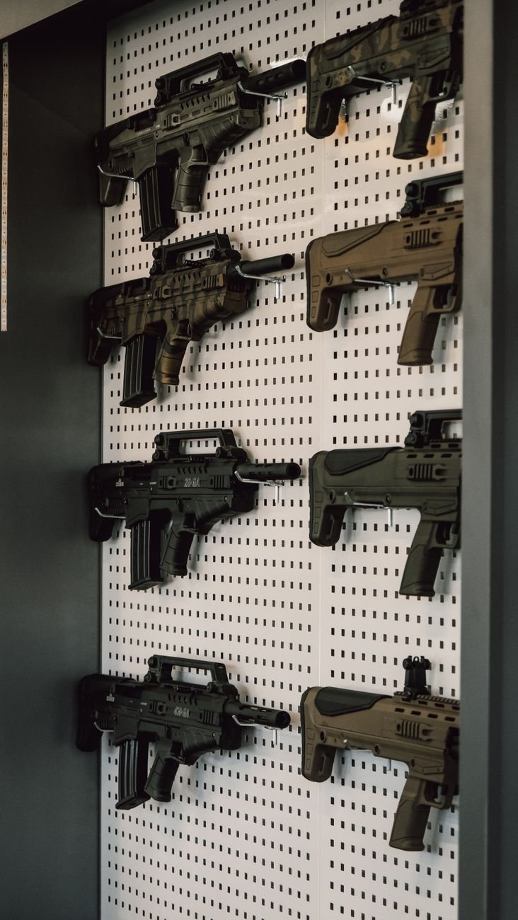 PF faz buscas por armas e munição na casa de Bolsonaro 5 Divergências nas informações sobre as armas - PF faz buscas por armas e munição na casa de Bolsonaro