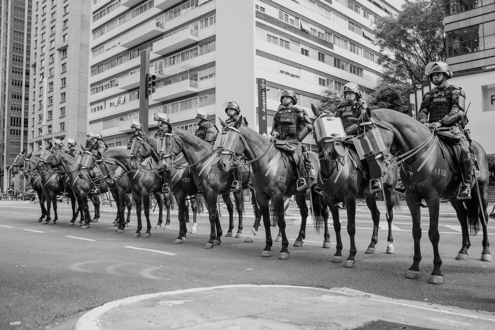 Haddad lança proposta de segurança para SP com aposta em IA, Datena, 'BO no Zap' e gravação ininterrupta de PMs 2 A proposta de Haddad para São Paulo - Haddad lança proposta de segurança para SP com aposta em IA, Datena, 'BO no Zap' e gravação ininterrupta de PMs